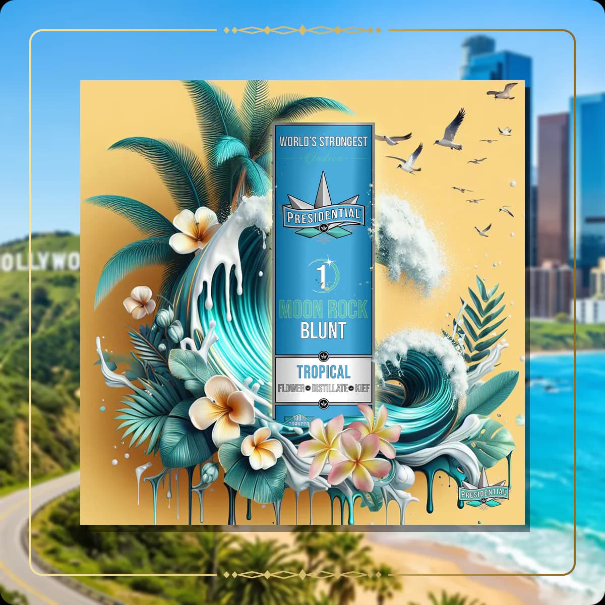 Tropical Presidential blunt for the California Silver page