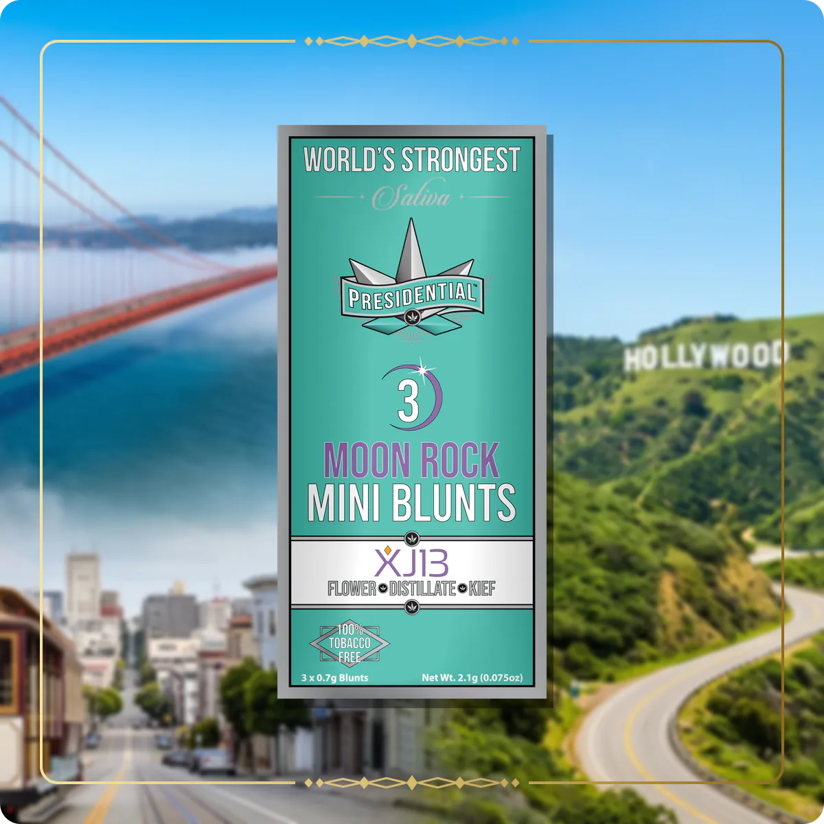 XJ-13 Presidential mini for the California home collection